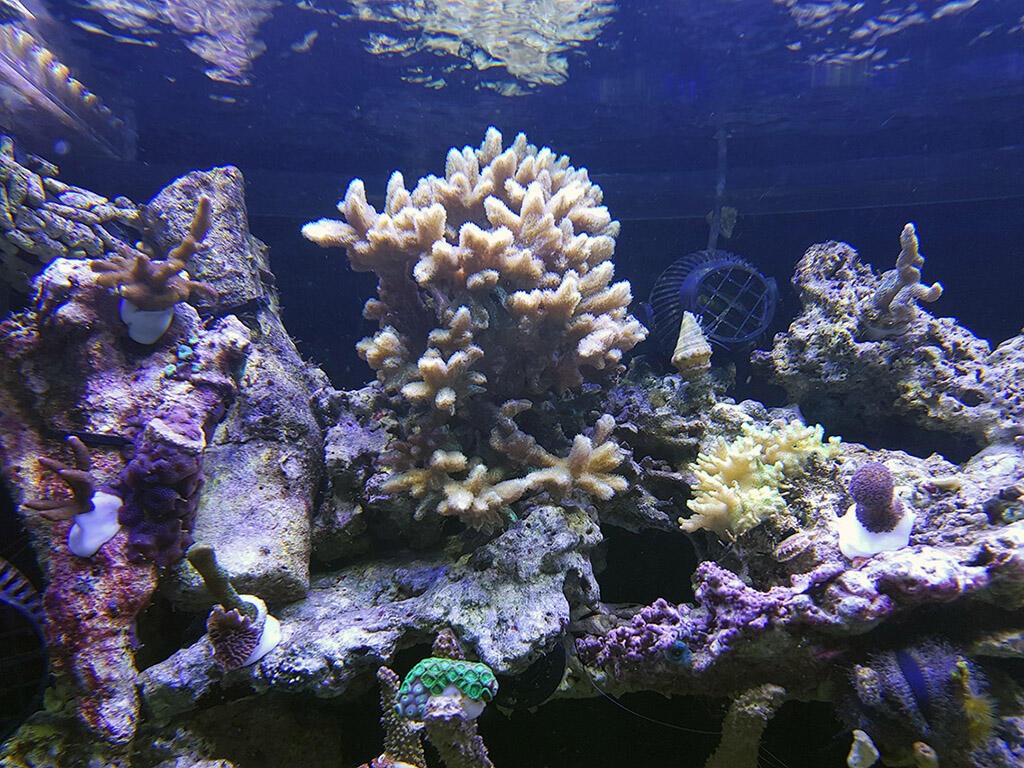 20170422_2234442.jpg