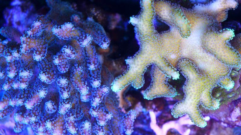 2013-10-19 10.06.24_1.jpg
