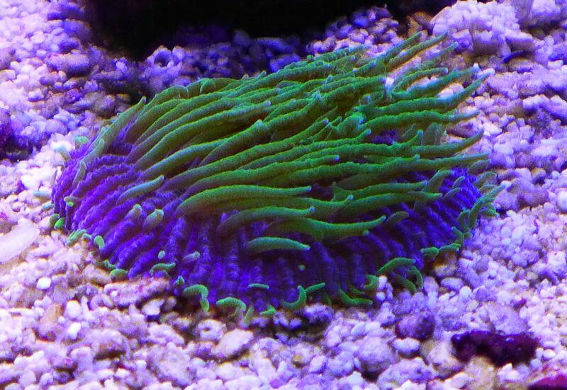 2013-07-14 11.38.10_1.jpg