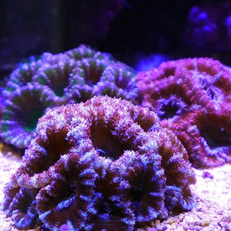 2013-07-14 11.39.42_1.jpg