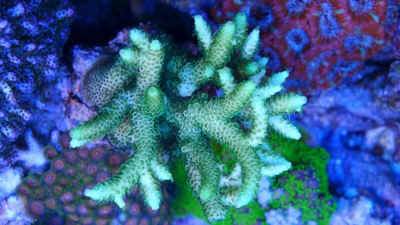 2013-10-19 10.04.27_1.jpg